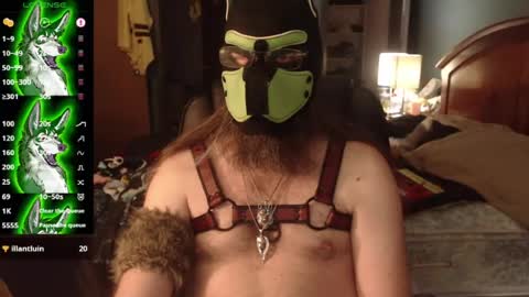 kinkywolf87 online show from July 3, 12:06 am