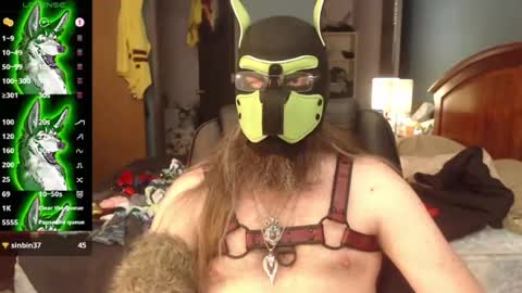 kinkywolf87 online show from July 8, 7:29 pm