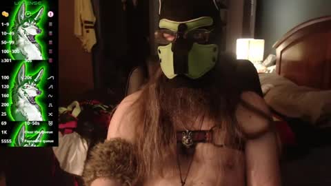 kinkywolf87 online show from August 3, 4:55 am