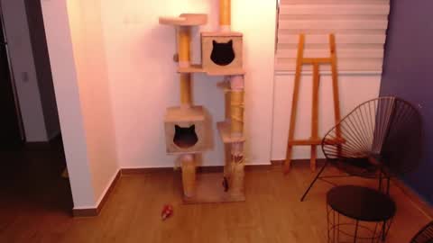 Snapshot of kintsugim chatting on November 7, 4:01 am kintsugi online show from November 7, 4:01 am