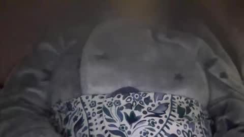 Snapshot of kissandtell1357 chatting on October 24, 6:48 pm kissandtell1357 online show from October 24, 6:48 pm