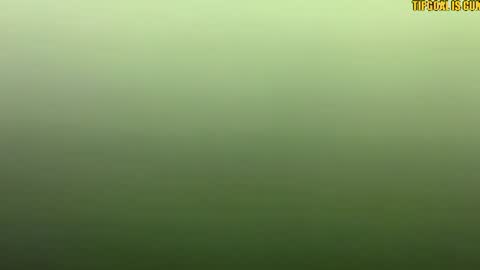 Snapshot of kisskissnya chatting on July 12, 4:31 pm kisssssssssssss online show from July 12, 4:31 pm