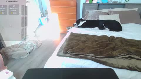 Kittyymaze online show from January 14, 4:50 pm