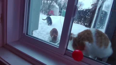 Snapshot of kiveuxmakeu chatting on December 27, 9:11 pm kiveuxmakeu online show from December 27, 9:11 pm