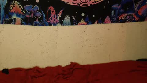 Snapshot of konekokawai chatting on February 12, 1:41 am konekokawai online show from February 12, 1:41 am