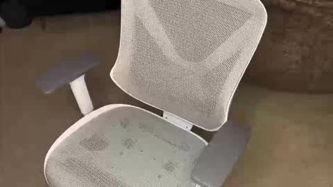 Snapshot of koryoncam chatting on December 16, 9:58 am your hairy neighbor online show from December 16, 9:58 am