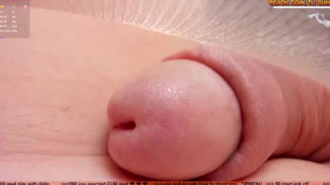 Petra online show from January 14, 8:03 pm