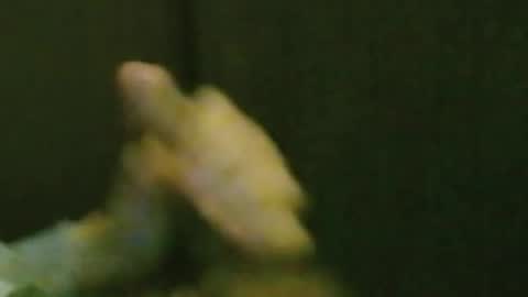 kren565656 online show from October 20, 8:26 am