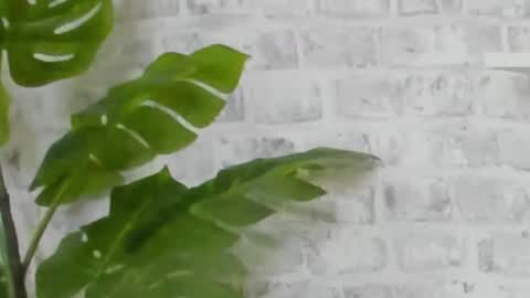 Snapshot of kristinedean chatting on December 15, 9:45 am Kristi online show from December 15, 9:45 am