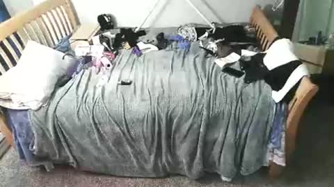 Snapshot of kulinky6969 chatting on December 15, 11:58 am kulinky6969 online show from December 15, 11:58 am