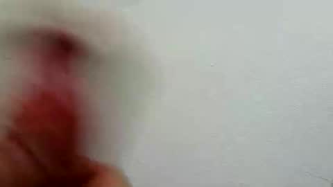 l0cean online show from February 26, 3:16 am