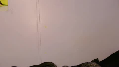 Lily online show from May 5, 9:17 am