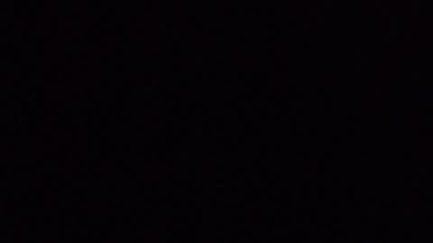 laceieizlaced online show from April 4, 11:08 am