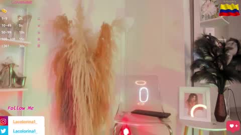 Snapshot of lacolorina_ chatting on November 5, 4:07 pm Colorina online show from November 5, 4:07 pm