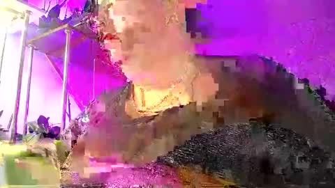 Lady Gloria online show from January 8, 5:43 am