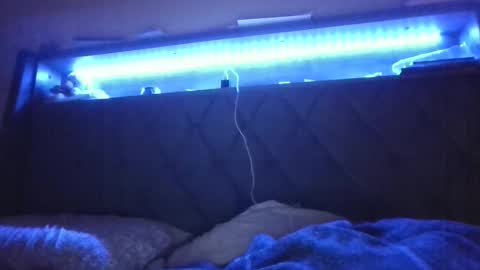 Stephanie online show from February 24, 5:11 am