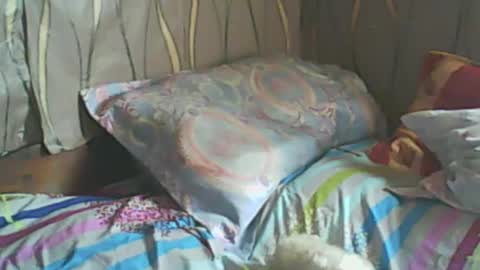 LadyXSnakes online show from February 19, 7:39 am