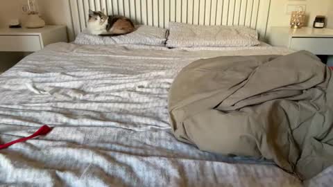 Snapshot of lana_inked chatting on February 5, 2:16 pm Lana online show from February 5, 2:16 pm