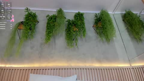 lana_lann online show from February 2, 5:59 pm