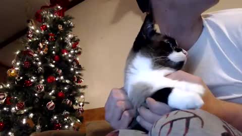 Snapshot of lancehardin chatting on December 30, 1:04 am Lance online show from December 30, 1:04 am