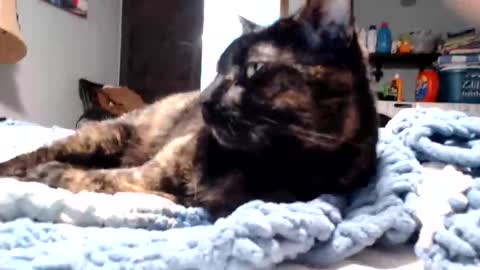 Lance online show from March 11, 11:11 pm