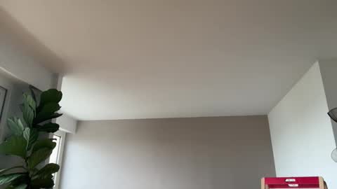 Snapshot of lanimalr chatting on October 3, 8:00 am Lanimal online show from October 3, 8:00 am