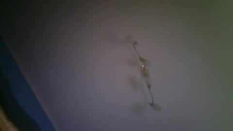 Snapshot of larry009 chatting on December 15, 3:00 am larry009 online show from December 15, 3:00 am