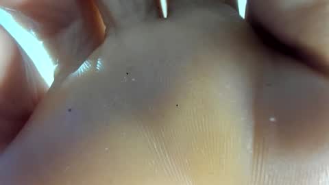 Snapshot of latin__curly chatting on November 7, 12:54 am Afrodita online show from November 7, 12:54 am