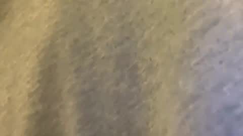 Snapshot of latn_73 chatting on March 9, 1:42 am Mexakin online show from March 9, 1:42 am