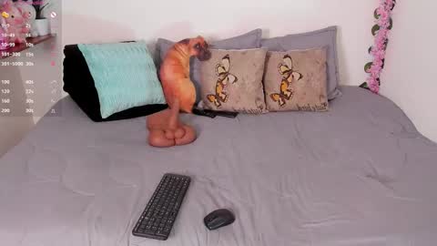 laura1__ online show from December 15, 11:31 pm