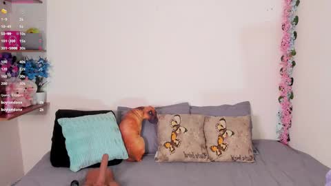 laura1__ online show from February 26, 11:15 pm