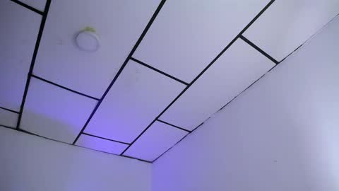 LAURA online show from January 28, 1:08 am