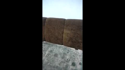 laura_sofia23 online show from January 7, 11:01 am