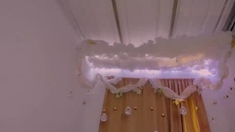 Lauu G online show from December 29, 3:11 am