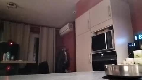 Snapshot of law9102 chatting on December 16, 5:45 am Law online show from December 16, 5:45 am