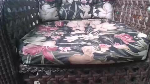 kelly online show from February 15, 8:05 pm