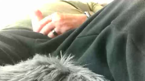 leckfreund53 online show from March 15, 2:45 pm