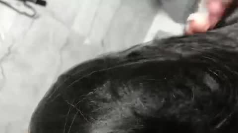 Marina Magician online show from March 23, 1:42 am