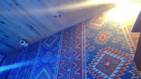 Dliciousman online show from February 20, 10:37 pm