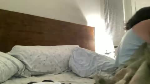Snapshot of legallybrun91 chatting on June 25, 9:03 am legallybrun91 online show from June 25, 9:03 am