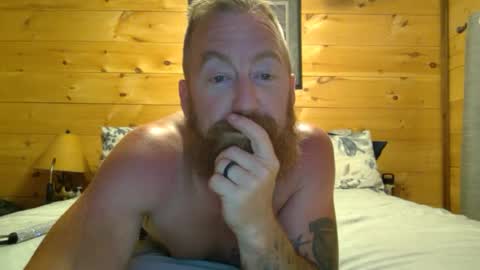 Snapshot of leia_jo chatting on August 2, 2:54 am Bear online show from August 2, 2:54 am
