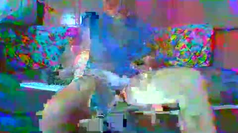 SEX  MASTER online show from January 15, 1:43 am