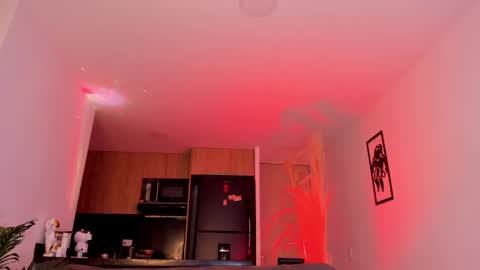 Snapshot of lennercollins_ chatting on February 22, 1:55 am Lenner INDEPENDENT MODEL online show from February 22, 1:55 am