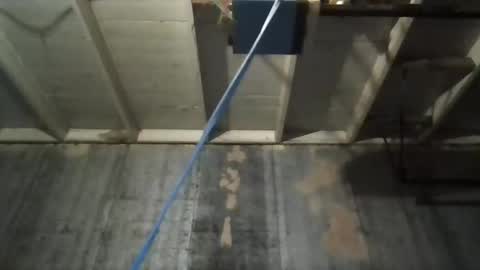 Snapshot of leo199984 chatting on November 9, 5:17 am leo199984 online show from November 9, 5:17 am