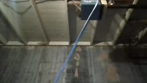 Snapshot of leo199984 chatting on November 25, 3:39 am leo199984 online show from November 25, 3:39 am