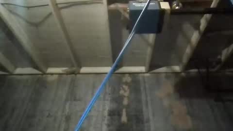 Snapshot of leo199984 chatting on November 27, 4:47 am leo199984 online show from November 27, 4:47 am