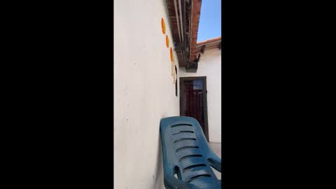 leo_latino1 online show from March 9, 6:56 pm