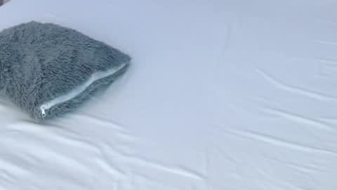 Snapshot of leonacutecam chatting on November 28, 8:55 pm LUCY online show from November 28, 8:55 pm