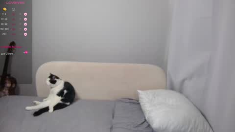 leonkissboy online show from March 1, 4:14 am