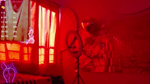 Leslie online show from February 12, 1:17 pm